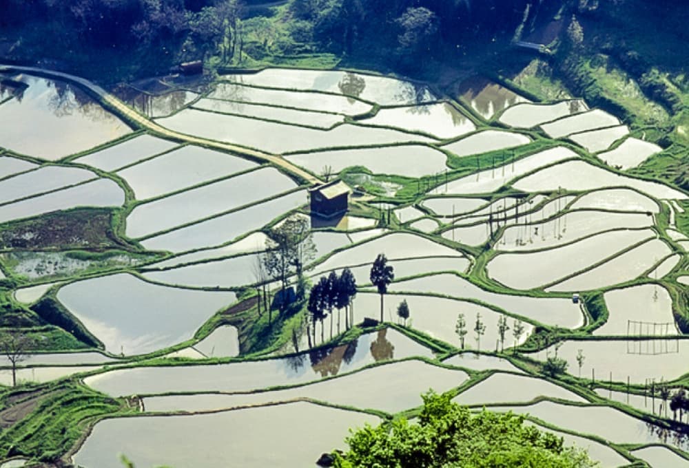 瑞麟寺跡