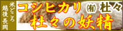 バナー　㈲杜々
