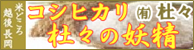 バナー㈲杜々