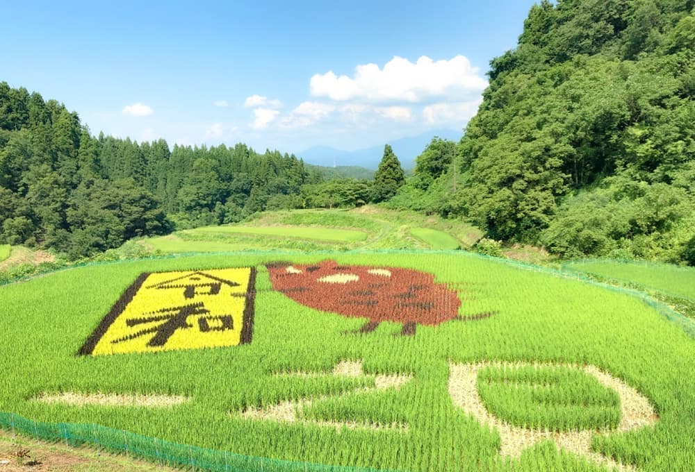 田んぼアート