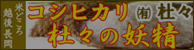 バナー㈲杜々