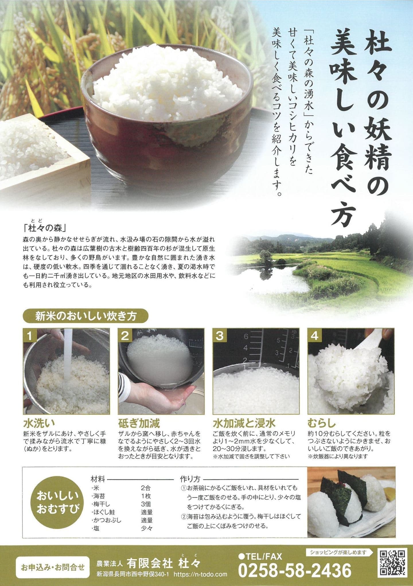 コシヒカリ杜々の妖精